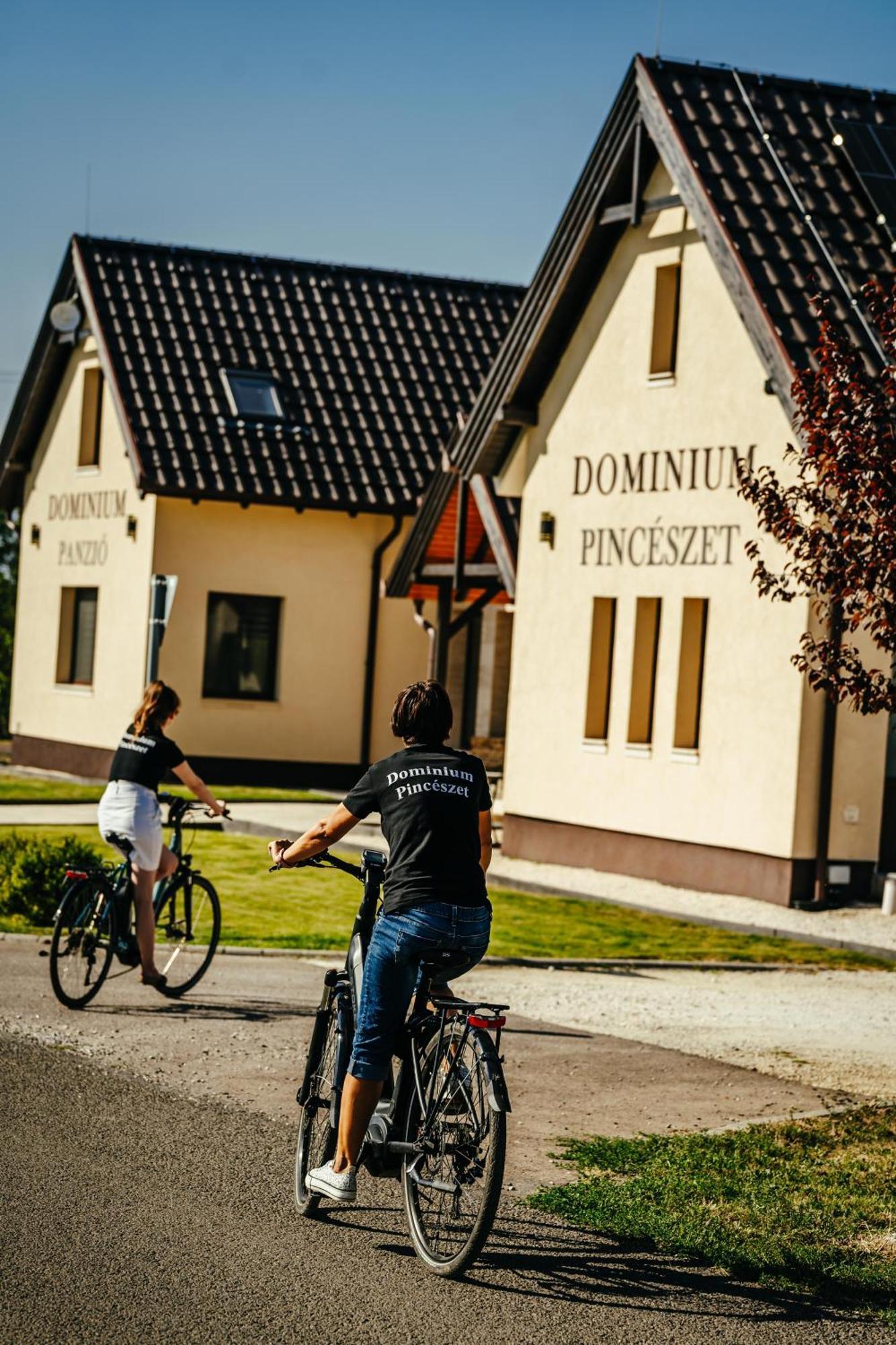 Bed and Breakfast Dominium Pincészet és Panzió Gyöngyös Exterior foto